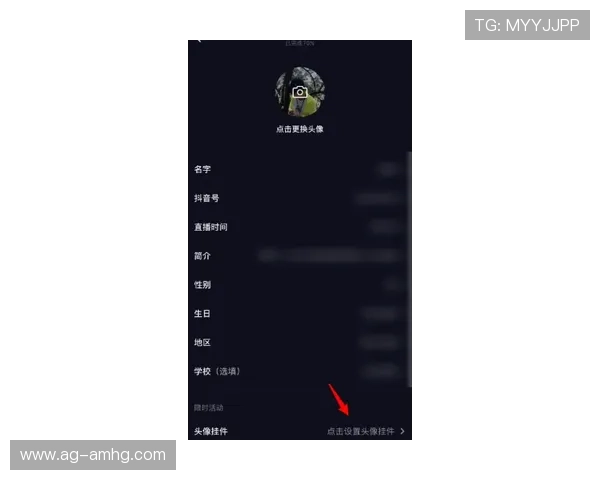 抖音皇冠会员可以获得哪些独家功能和个性化定制服务