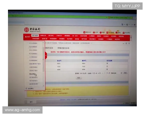 皇冠官网登录官方平台，提供全面的账户管理服务