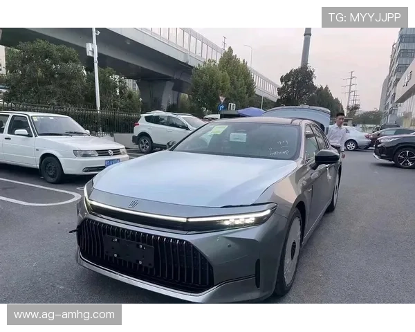 皇冠尊享版适合追求高端品质的用户,彰显非凡品味与尊贵身份 皇冠尊享版适合追求高端品质的用户,彰显非凡品味与尊贵身份