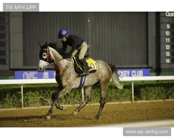 澳门赛马网站比赛项目分类及规则介绍帮助新手快速入门澳门赛马