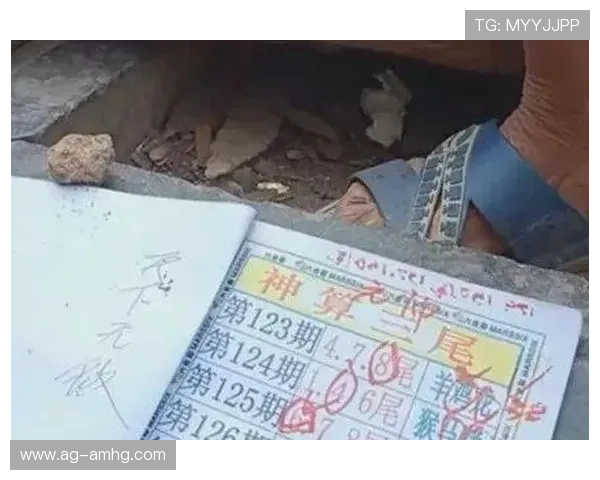 六合彩官方手机版最新上线，随时随地轻松掌握开奖信息与中奖机会