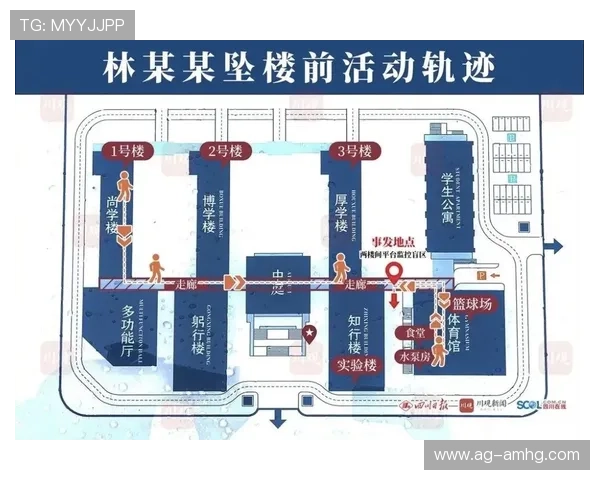 凯撒皇宫：详细解析游戏中皇宫建筑设计与历史还原的精彩细节
